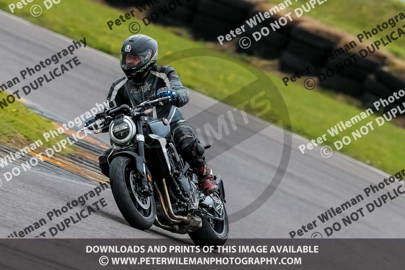 PJ Motorsport 2019;anglesey no limits trackday;anglesey photographs;anglesey trackday photographs;enduro digital images;event digital images;eventdigitalimages;no limits trackdays;peter wileman photography;racing digital images;trac mon;trackday digital images;trackday photos;ty croes